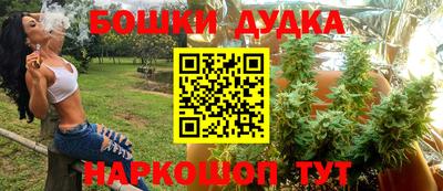 стаф Ставрополь