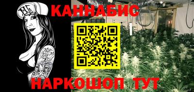 стаф Ставрополь